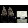 Image 2 : NWA 869 Meteorite Matched Pair