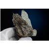 Image 3 : NWA 869 Meteorite Matched Pair