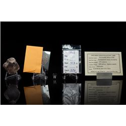 NWA XXX Meteorite Individual and Thin Section