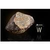 Image 3 : NWA XXX Meteorite Individual and Thin Section