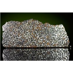 Sericho Meteorite Slice