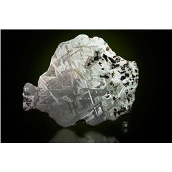 Seymchan Meteorite Transitional Slice