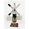 Image 1 : Skylab Model