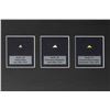 Image 2 : Apollo Program Lunar Dust Display