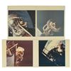 Image 1 : Apollo 9 Group of (4) EVA Photographs