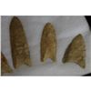 Image 3 : Grouping of Rare Prehistoric native American Clovis Points