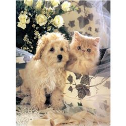 Puppy & Kitten Ceramic Art Tile