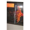 Image 2 : LandYachtz Skateboard, Black w/ Tree Graphics