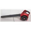 Image 1 : Toro T25 Vac Leaf Blower Vacuum Combo