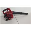 Image 3 : Toro T25 Vac Leaf Blower Vacuum Combo