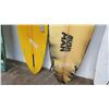 Image 25 : Qty 5 Surfboards, Various Sizes, 3 Longboards - NSP, Bushman, Ratlo Fin