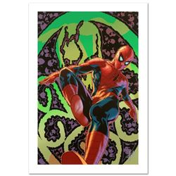Amazing Spider-Man #524 by Stan Lee - Marvel Comics
