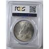 Image 4 : 1923 PEACE DOLLAR PCGS MS66