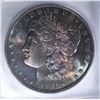 Image 2 : 1904-O MORGAN DOLLAR ICG MS65