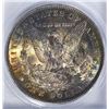Image 3 : 1904-O MORGAN DOLLAR ICG MS65