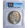 Image 4 : 1904-O MORGAN DOLLAR ICG MS65