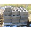 Image 1 : PALLET OF CINDER BLOCK 12"