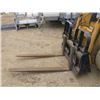 Image 1 : SET OF PALLET PALLET FORKS