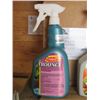 4 SAFERS TROUNCE GREENHOUSE/INDOOR PLANT INSECTICIDE 1L (4 TIMES BID PRICE)