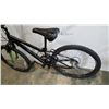Image 4 : BLACK AND GREEN BIKE