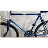 Image 2 : BLUE RALEIGH BIKE
