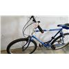 Image 3 : BLUE RALEIGH BIKE