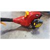 Image 3 : HOMELITE GAS WEEDEATER