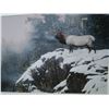 Image 2 : TISAAC ELK PRINT