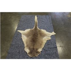 KANGAROO PELT