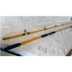 DEEP SEA FISHING ROD