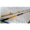 Image 1 : DEEP SEA FISHING ROD