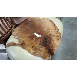 BEAVER PELT