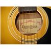 Image 2 : RENAISSANCE GUITAR WITH CASE