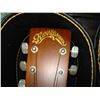 Image 3 : RENAISSANCE GUITAR WITH CASE