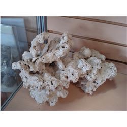 LARGE PIECE OF CORAL