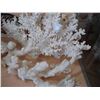 Image 2 : LOT OF PIECES OF CORAL