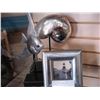 Image 1 : SILVER FISH, SHELL, AND PICTURE