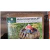 Image 2 : ANGELO DECOR MUSHROOM MEDLEY OUTDOOR FOUNTAIN