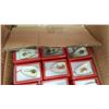 Image 3 : BOX OF INSECT NECKLACES