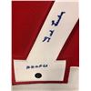 Image 2 : TED LINDSAY SIGNED RED WINGS HOCKEY JERSEY W/ FRAMEWORTH  COA