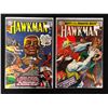 Image 1 : HAWKMAN COMIC BOOK LOT (DC COMICS)