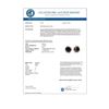 Image 2 : 1.0 CTW VS Certified Black Diamond Solitaire Stud 18K Rose Gold - REF-34H4A - 14172
