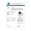 Image 2 : 3.90 CTW Tanzanite & Diamond Ring 10K White Gold - REF-115T5M - 11903