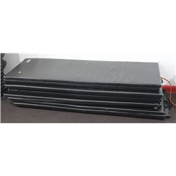 LOT OF 10 FITNESS MATS