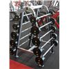 Image 1 : CYBEX BARBELL RACK