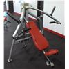 Image 1 : CYBEX PLATE LOADED CHEST PRESS