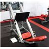Image 1 : CYBEX PLATE LOADED LEG PRESS