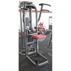 MATRIX DIP AND CHIN ASSIST