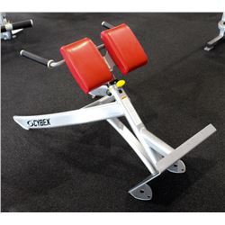 CYBEX 45 DEGREE BACK EXTENSION