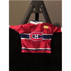 MONTREAL CANADIENS MINI JERSEY